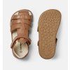 Rox Cognac Brown 2