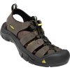 Keen Newport Men Bison