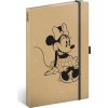 48682 notique notes minnie craft linkovany 13 x 21 cm