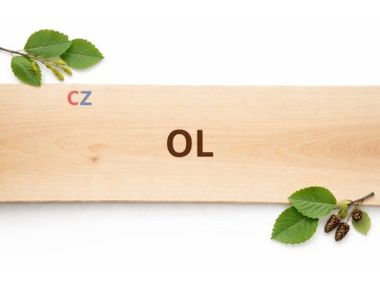 ChatGPT Image 19. 12. 2025 23 17 47