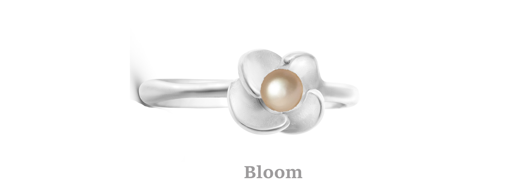 bloom en