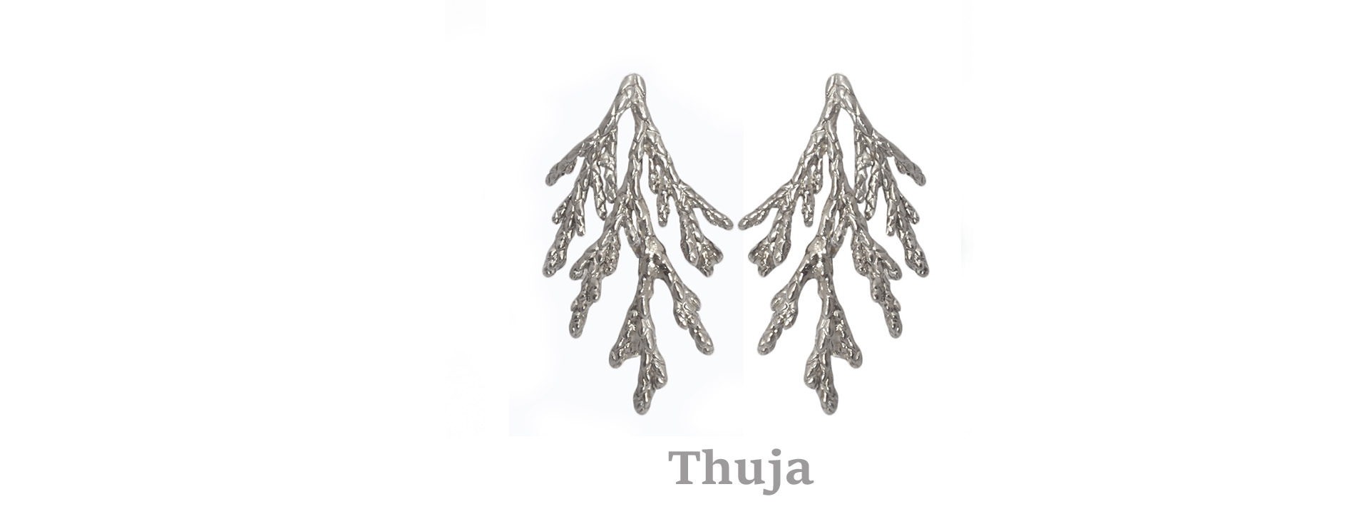 thuja
