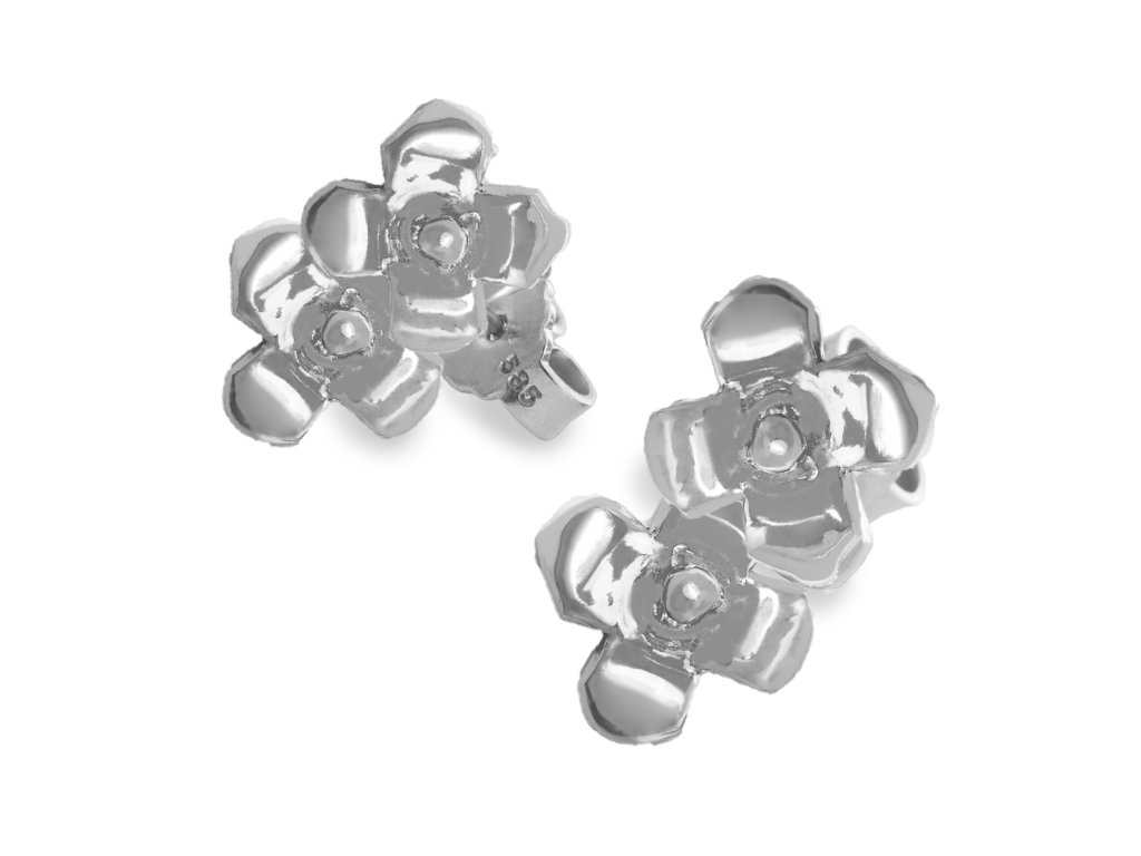 Silver minimalist earrings Sentiment double