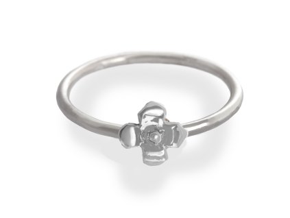 Minimalist silver Sentiment ring