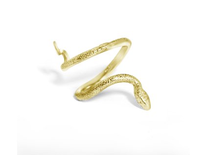 Gold ring snake