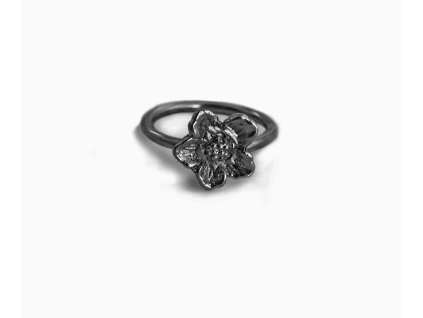 Women's silver mini ring Pulsatilla black