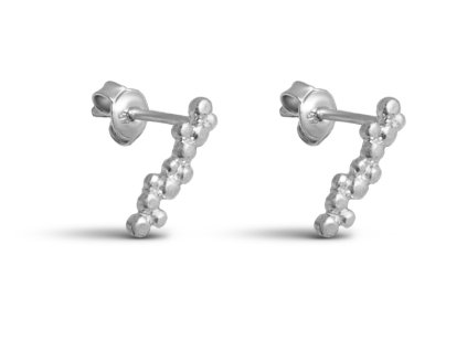 Frost dangle earrings