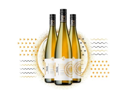 palava 2024 zimni vrch vinarstvi zamecnik