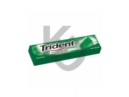 Trident Spearmint Flavour 13,5g