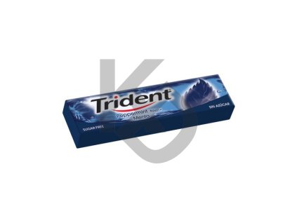 Trident Peppermint Flavour 13,5g