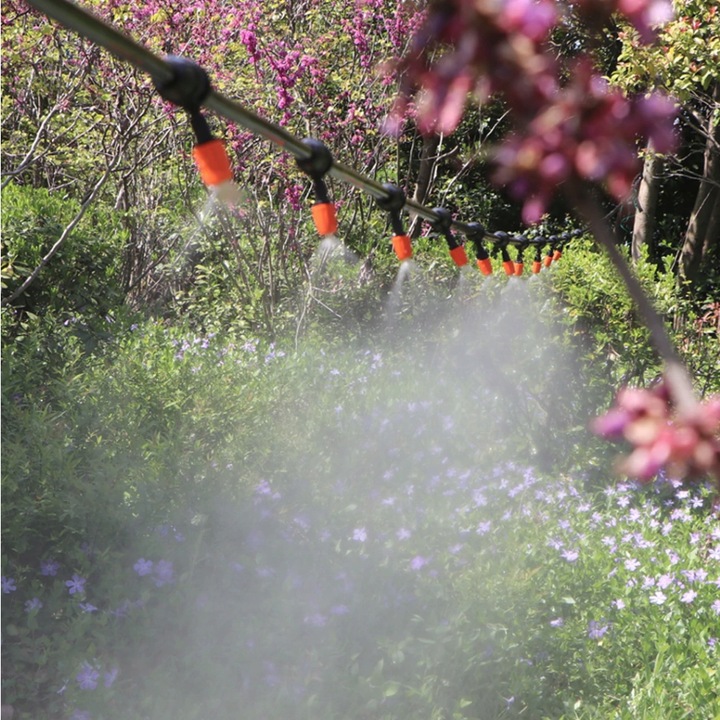 9c2a5a2a414197d29d894a3ee5f7