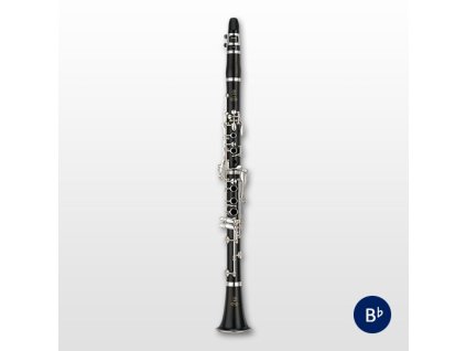 ycl 650 540x540 540x540 7a6703f86bca9de2d2928906863e28cd