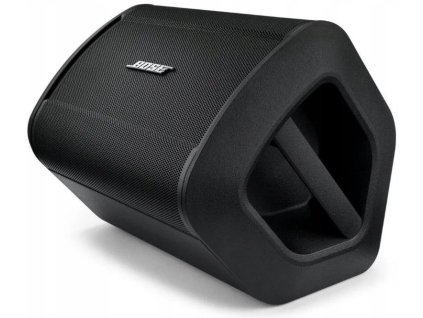 b1