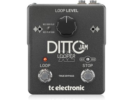 ditto