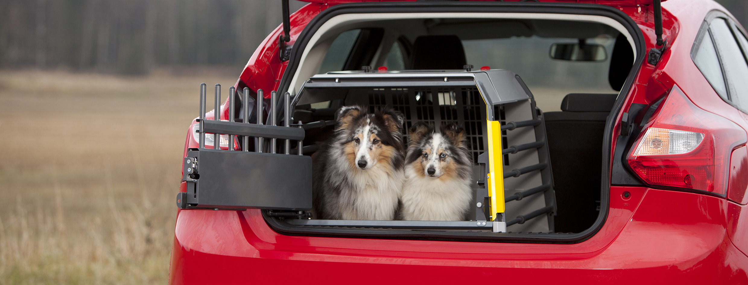 3G-variocage-compact-single_xl_autumn_dogs-car_21X10cm_print