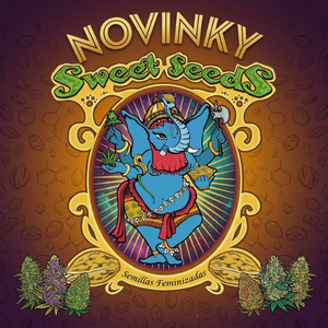 Novinky Sweet Seeds 2026