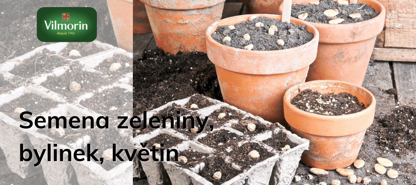 Semena zeleniny, bylinek, květin