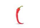 Semena chilli