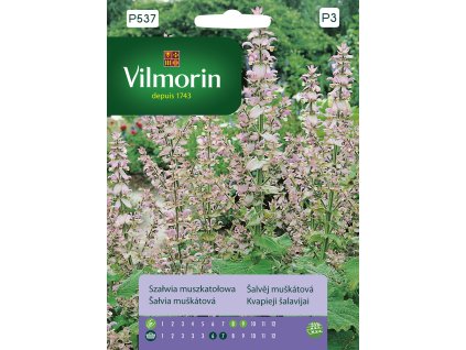 3228 1 salvej muskatova vilmorin premium 1 g
