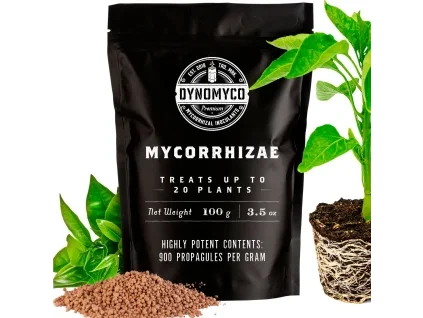 amazon product image pouch100g 1512x.jpg