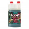 Boost Canna