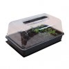 Root!t Propagation Kit