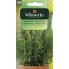 2883 1 rozmaryn lekarsky vilmorin classic