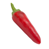 1023 1 chilli jalapeno semena 10 ks