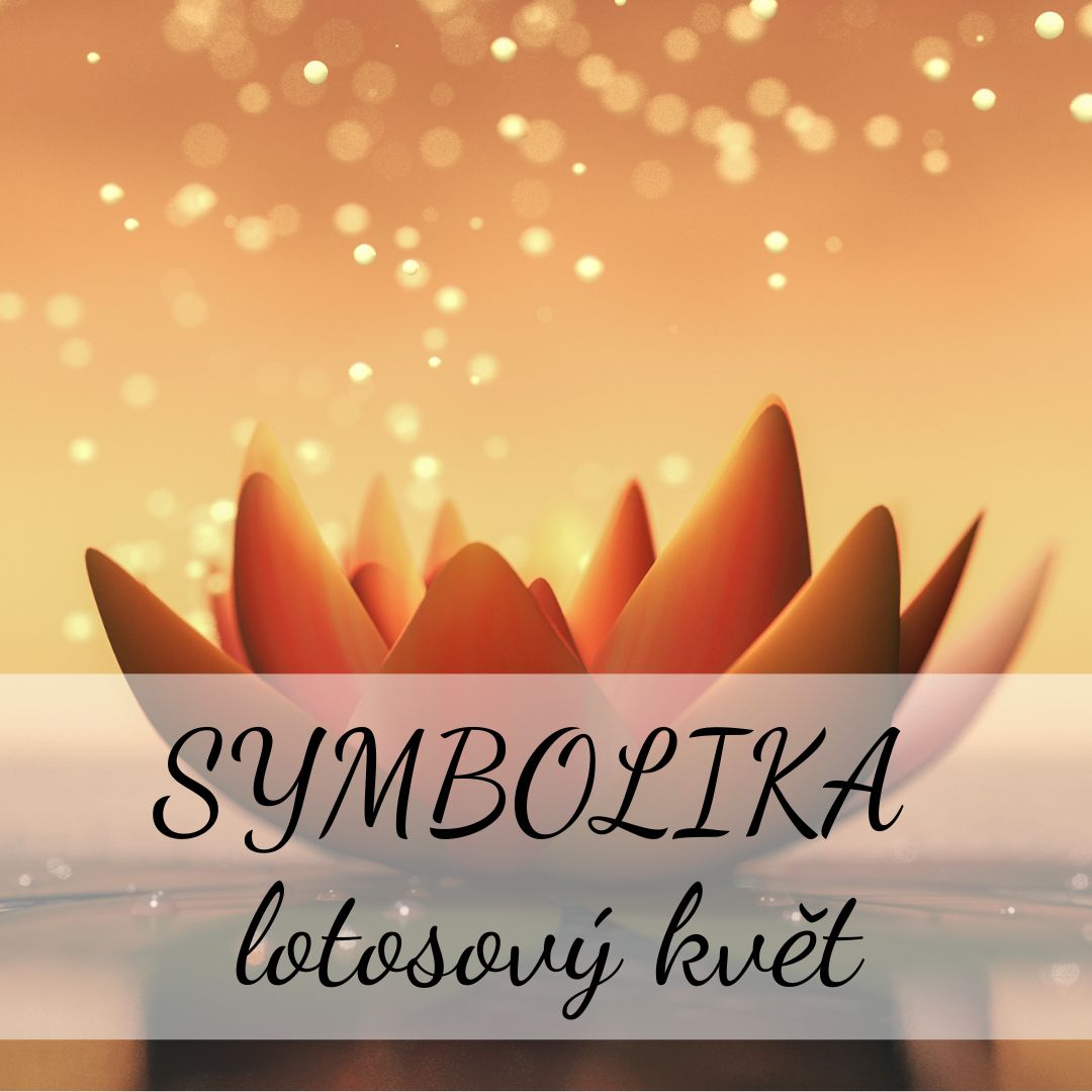 Lotosový květ a stříbrné šperky: Krása a symbolika v každém detailu