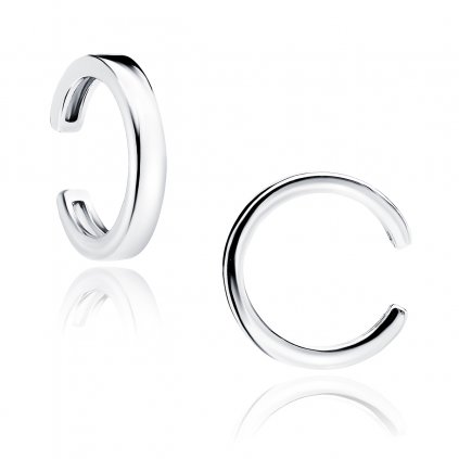 stříbrná záušnice