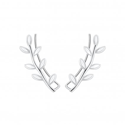 nausnice vetvicka olivovaniku