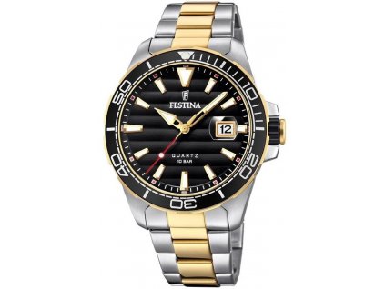 Festina Prestige 20362/2