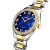 42513 festina solar energy 20659 2