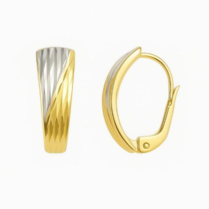 Zlaté náušnice 32562