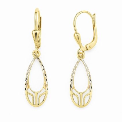 Zlaté náušnice 33409