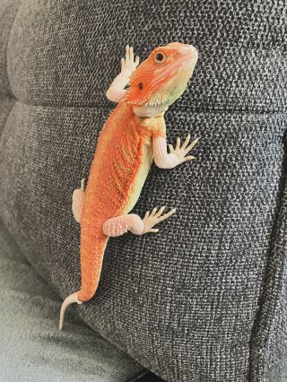 Tento týden byl výzva. Dcera byla nemocná, já to od ní chytila, a tak jsme odpočívaly, smrkaly a kašlaly. I přesto se mi...