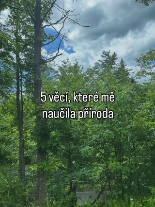Co naučila příroda vás? 🍀 #mineraly #priroda #byliny #krystaly #les
