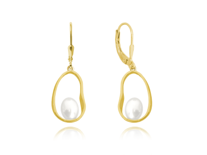 6253 large