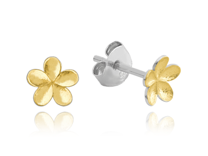 5727 large