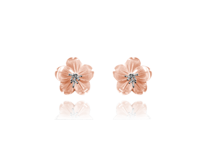 2221 large