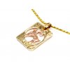158784 zlaty privesek ve tvaru desticky znameni kozoroh