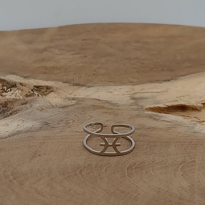 Ryby ocelovy prsten klenoty zeme strieborny