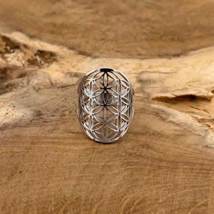 klenoty zeme prsten ocel Trojkvet