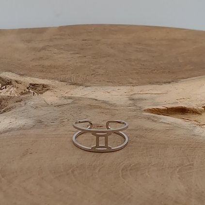 Blizenci ocelovy prsten klenoty zeme strieborny