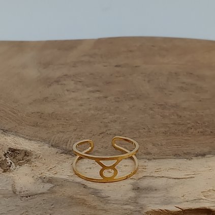 Byk ocelovy prsten klenoty zeme zlaty