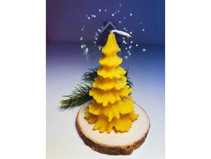 Návrh bez názvu (6)