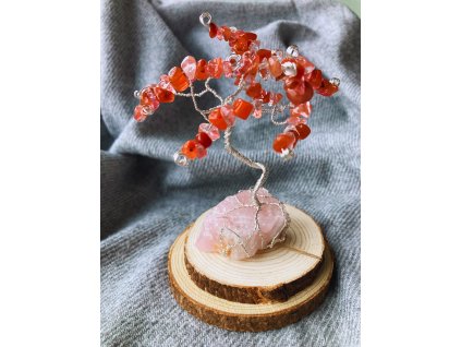 0e4ee61b 5452 421b 9417 e9dd755c7a63