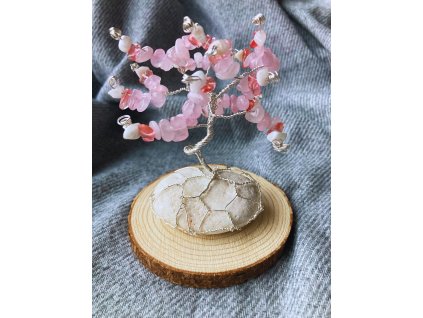 fb24bdbd aba1 45bc baba 5955d79c9c9d