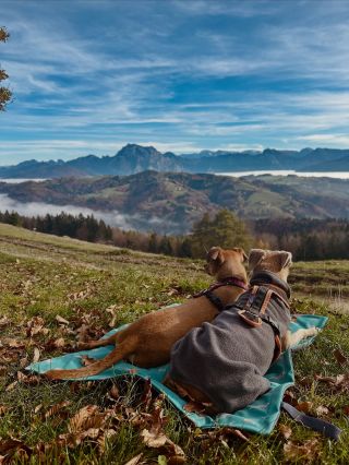 Takový nádherný podzim ❤️🍂. Dole mlha a nahoře sluníčko ☀️. Byli jste o víkendu na nějakém výletě? Pokud ano, podělte se v...