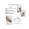 16008 1 zavinovac ka second step swaddle sleepee